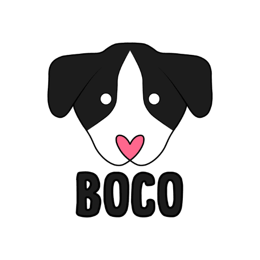 BOCO Logo